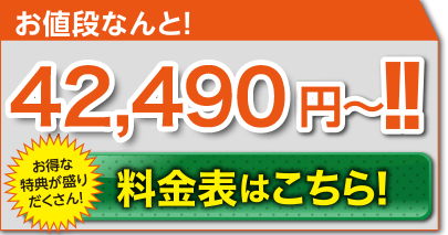お値段なんと!